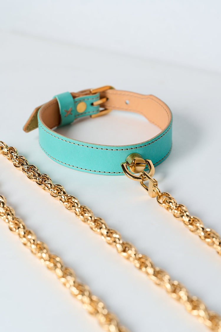 Teal BDSM collar on a white background.