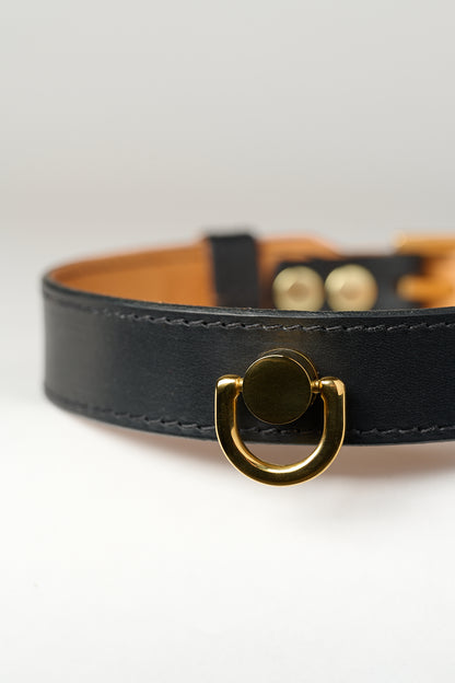 A close-up image of a luxury leather bondage collar with a 24k gold stainless steel buckle, predominantly black in color.