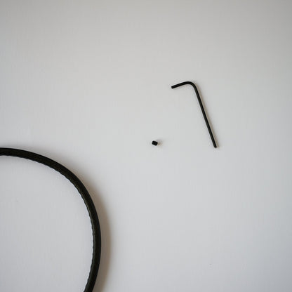 Small black screw and Allen wrench on a light gray background