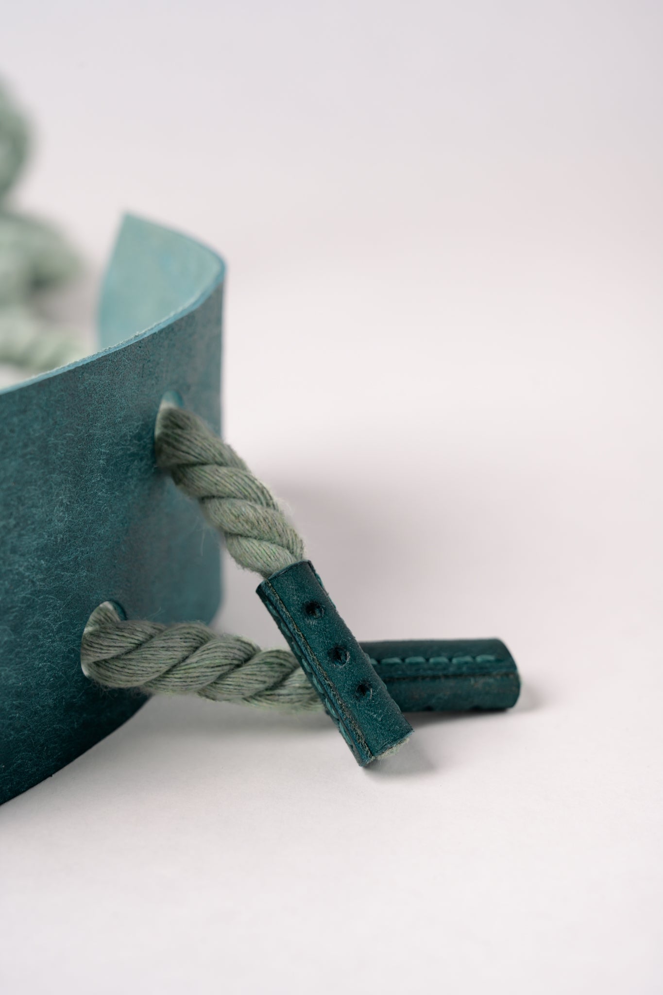 6mm Cotton Shibari Rope - Mint