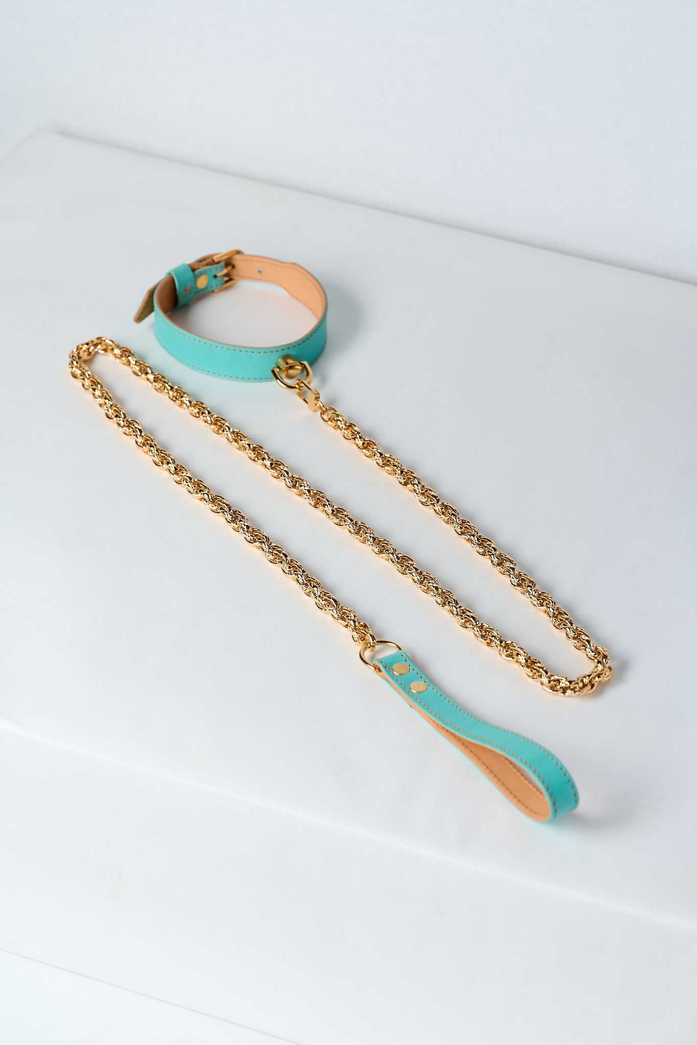 The Serpent and The Muse | Gold Luxury Leather Choker & Lead