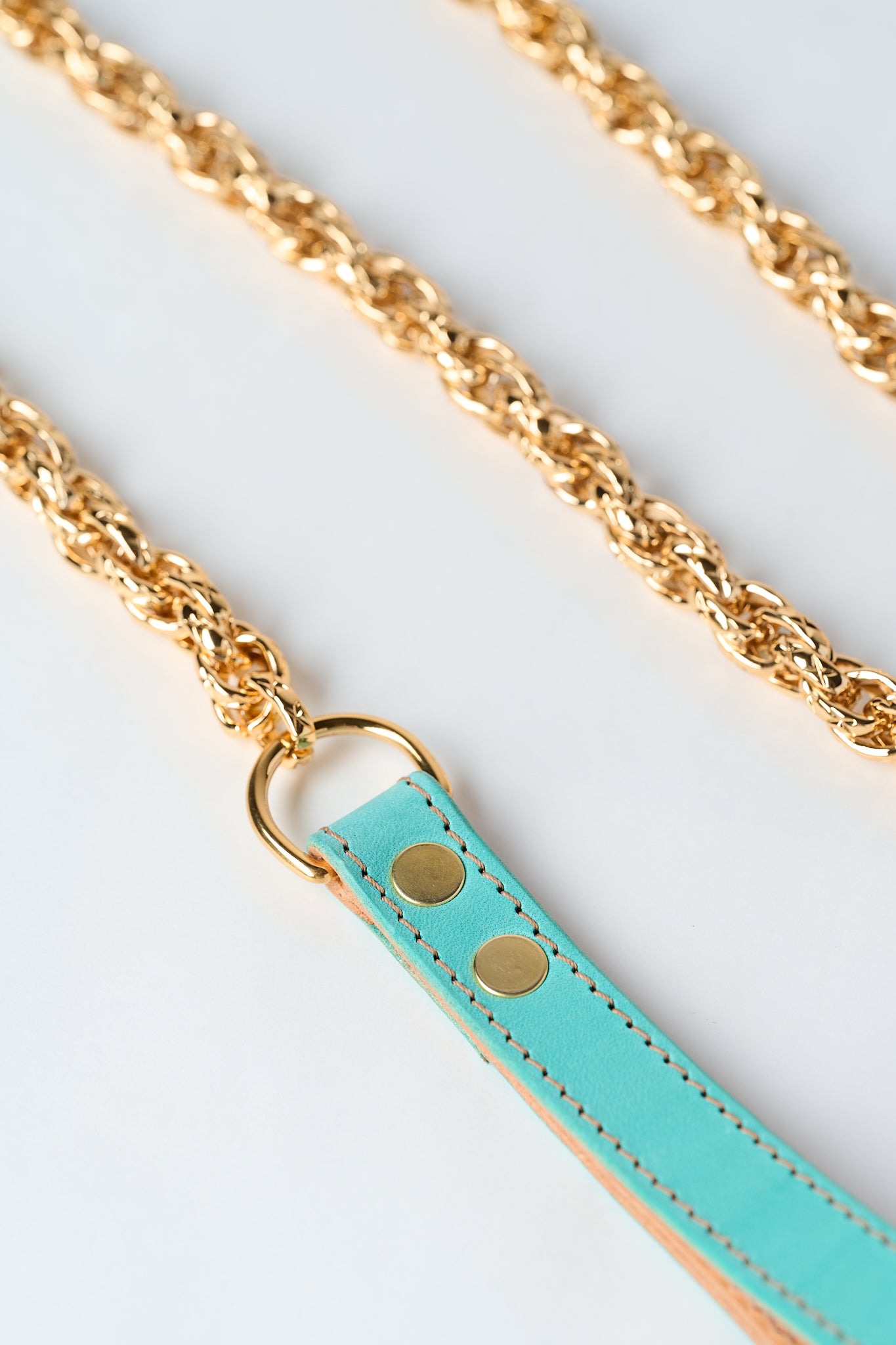 The Serpent and The Muse | Gold Luxury Leather Choker & Lead