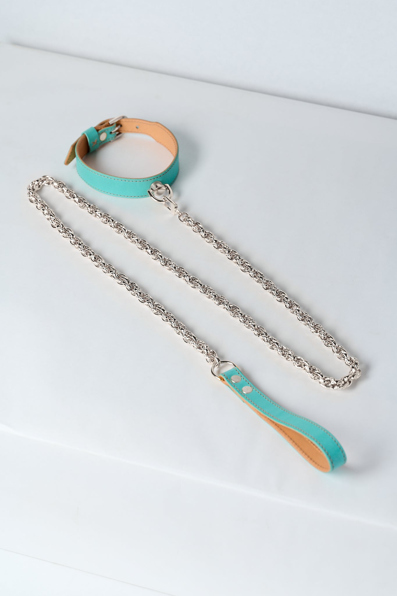 The Serpent and The Muse | Silver Luxury Leather Choker & Lead