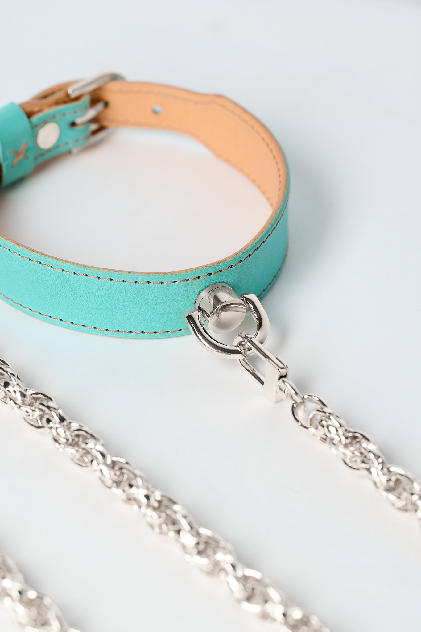 The Serpent and The Muse | Silver Luxury Leather Choker & Lead